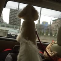 １歳になりました‼️