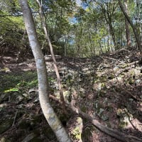 日笠地区旧坑　その２
