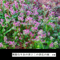 ★１4　えっ？　噓でしょ？