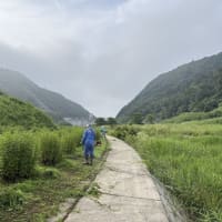 浅川ダム上流フジバカマ苑の草刈り、ながの花と緑の大賞2025受賞、お月様