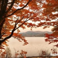 山中湖の紅葉まつり2016