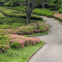 錦織公園の散策
