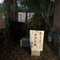 老人日記（１４）