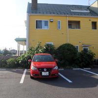 竜ケ崎市、シェ・カオル でケーキを買いました。