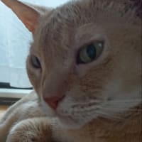 ララちゃんへ。