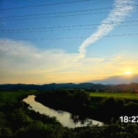 ６月26日木曜日☂️☂️