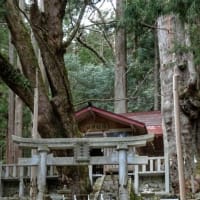 園原の里 人びとの哀歓を語る文学に度々かかわってきたという 東山道 沿いの集落 小さな旅を愉しむための情報plus 園原の里 人びとの哀歓を語る文学に度々かかわってきたという 東山道 沿いの集落 小さな旅を愉しむための情報plus