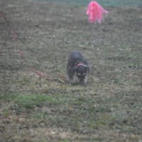 2021.3．21　東京グロック訓練競技会