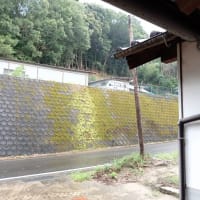 雨宿り