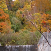 小谷村の山の中　紅葉が素敵でした