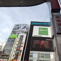 あちこちOK