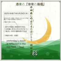 ■挿絵俳句702a「水田面に昨日の月の浮びをり」(『転生』2025)(鎌田透次)
