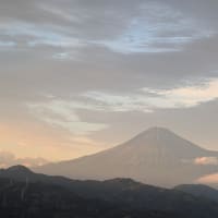 お久しぶりです