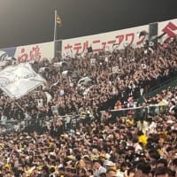 今日はちょっと・・