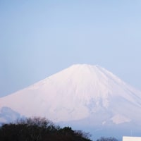 やっと冬の富士山らしくなった