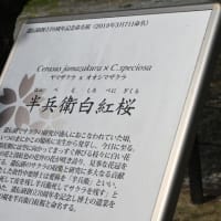 今期も今更20250405