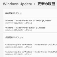Windows 11 Dev チャンネルに 累積更新(KB5039314) が配信されてきました。