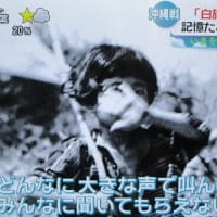 「白旗の少女」はいま・・・記憶をたどり写真をカラー化