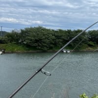 Ripple Fisher SilverStream 81 Stiletto　インプレ