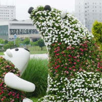 北海道2025夏の帰省旅　前半のハイライト