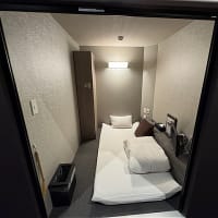 BIZCORT CABIN