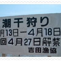 潮干狩り