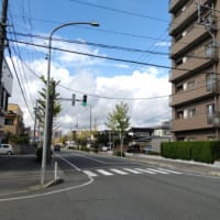 まばらな横断歩道