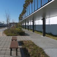 １月のお台場：解体工事中の船の科学館前から東京国際クルーズターミナルへ　ＰＡＲＴ２