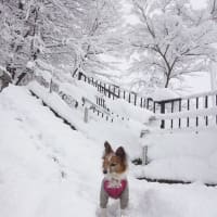 寒がりピー＆クー