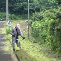 清掃作業