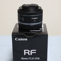 超広角単焦点のRF16mm F2.8 STMを購入です - 80年生の人生 超広角単焦点のRF16mm F2.8 STMを購入です - 80年生の人生