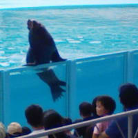 写真載せました