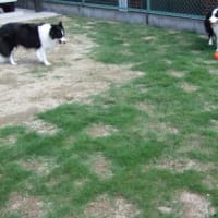子供ですから( ＾∀＾)