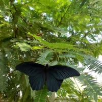ゴールデンウイーク　嫁さんと生物園に行ってきました。