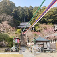 区切りお遍路旅 2/4 日目　3/25 20番-22番