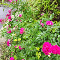 無事に帰還したぞ、の巻