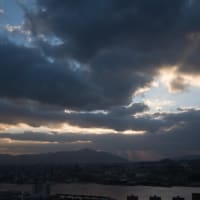 今年の初日の出
