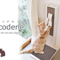 新商品 猫用爪とぎタワーCOCODENE