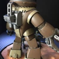 1/144 MSM-04 ACGUY
