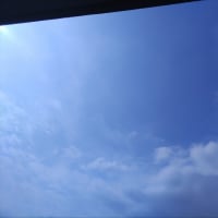 休日も救助
