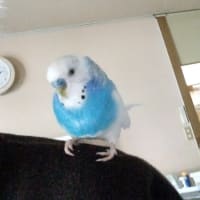 今迄　ありがとうございました　<(_ _)>