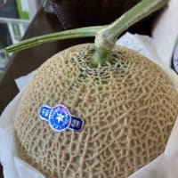 春にメロン