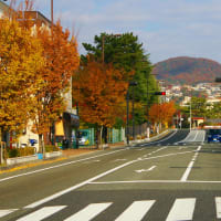 甲山と紅葉の写真