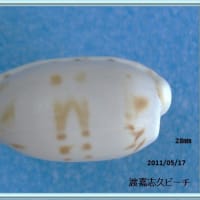 エダカラ