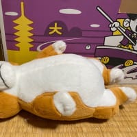 トラベラー