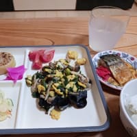 さばの味噌煮&卵とじ