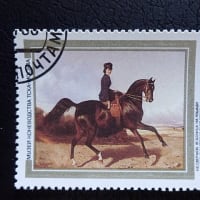 馬切手  1988年
