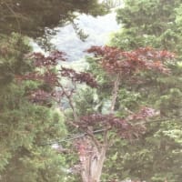 静けさ