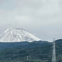 富士山が真っ白になった！