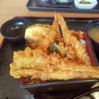 有志のツーリング伊豆半島方面編！